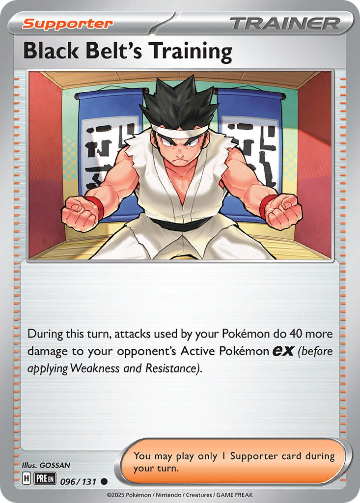096/131 Black Belt's Training - 096/131 (Poke Ball Pattern)