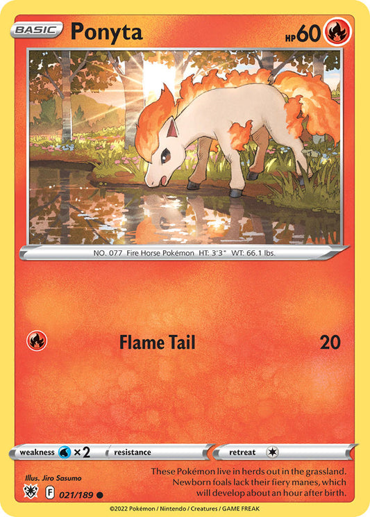 021/189  Ponyta