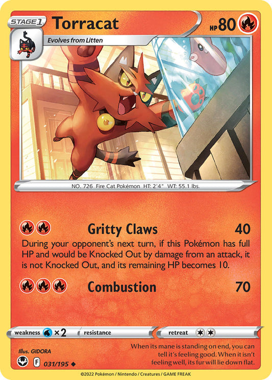 031/195  Torracat
