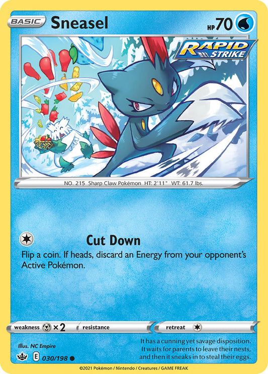 030/198  Sneasel