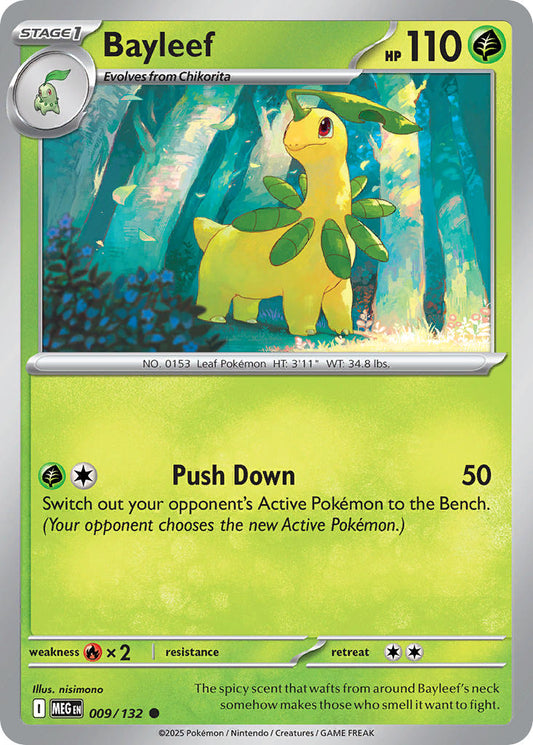 009/132  Bayleef