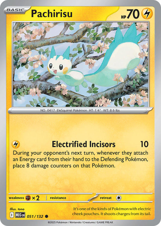 051/132  Pachirisu