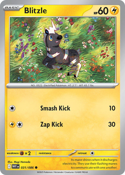 031/086  Blitzle (Poke Ball Pattern)