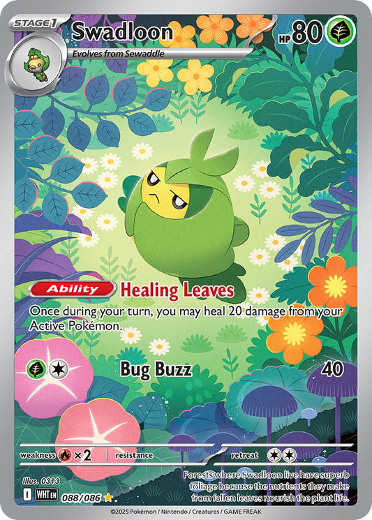 088/086  Swadloon - 088/086