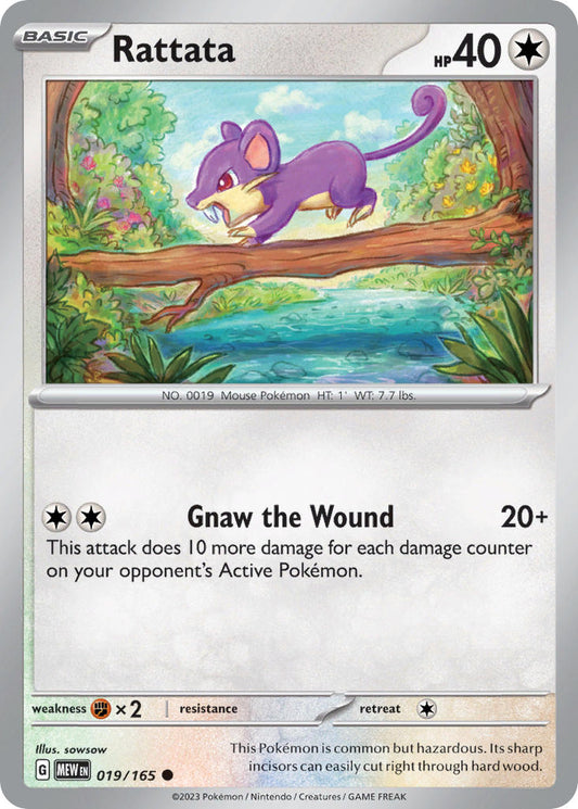 019/165  Rattata