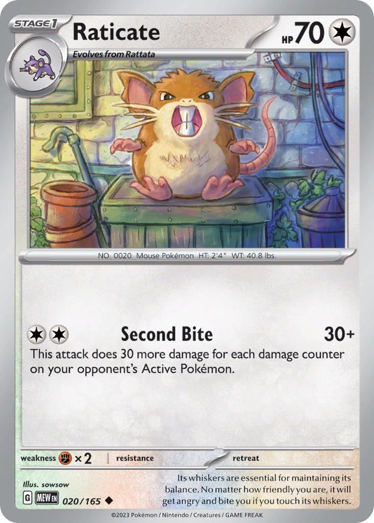 020/165  Raticate