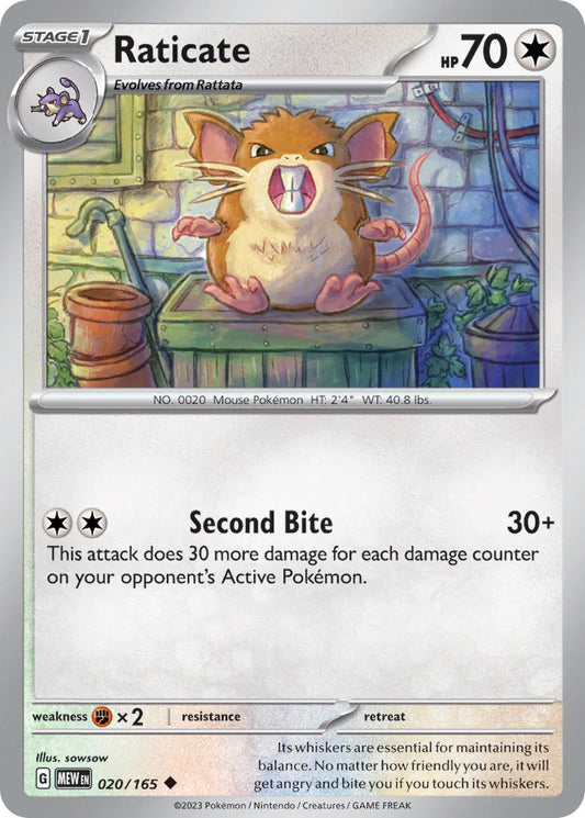 020/165  Raticate