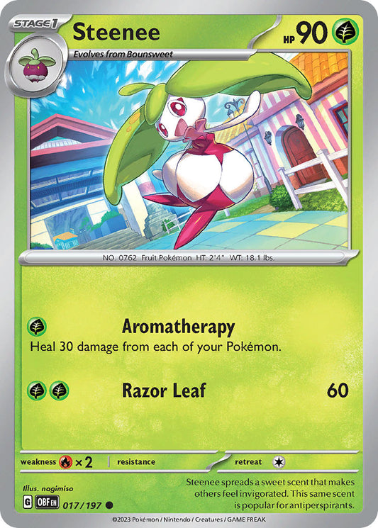 017/197  Steenee