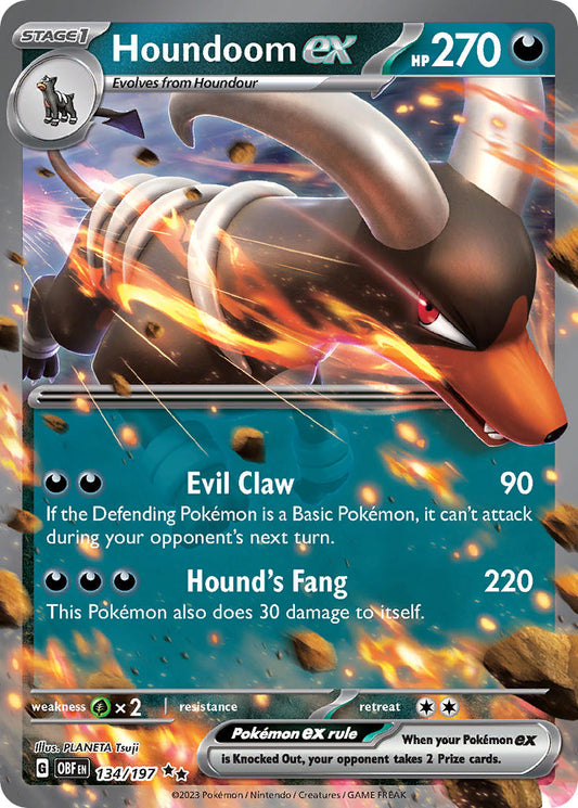 134/197  Houndoom ex