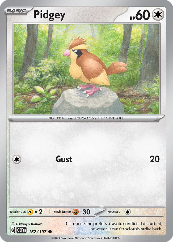 162/197  Pidgey