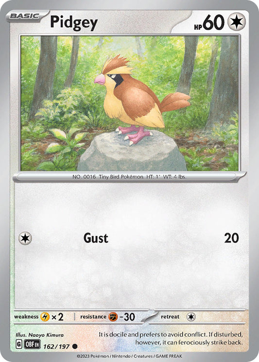 162/197  Pidgey
