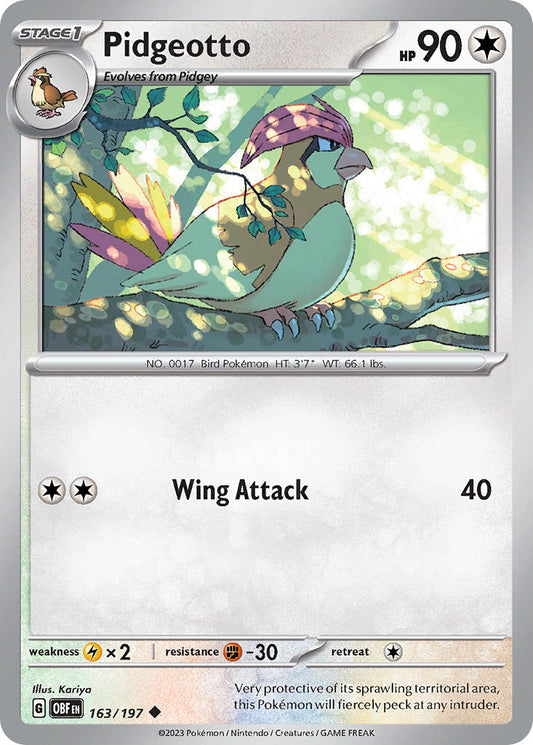 163/197  Pidgeotto