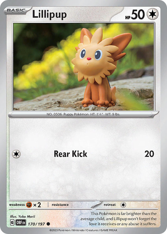 170/197  Lillipup