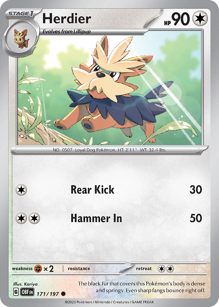 171/197  Herdier