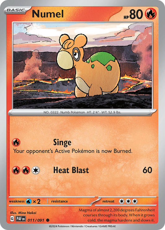 011/091  Numel