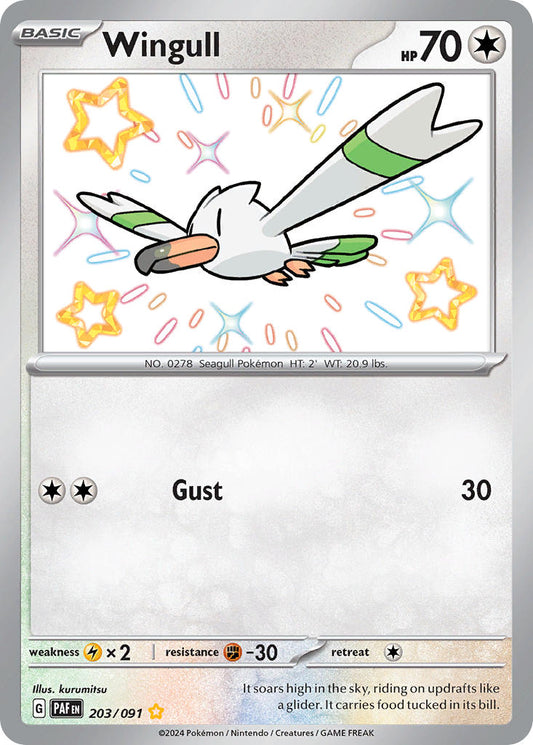 203/091  Wingull