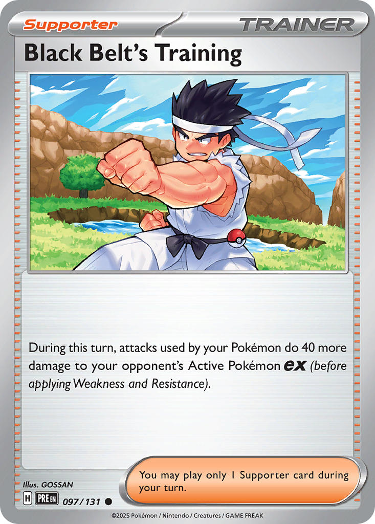 097/131  Black Belt's Training - 097/131 (Poke Ball Pattern)