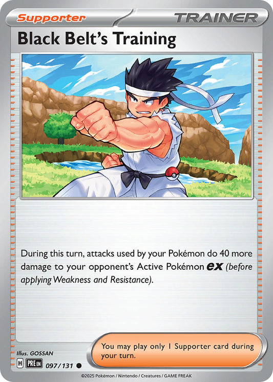097/131  Black Belt's Training - 097/131 (Poke Ball Pattern)