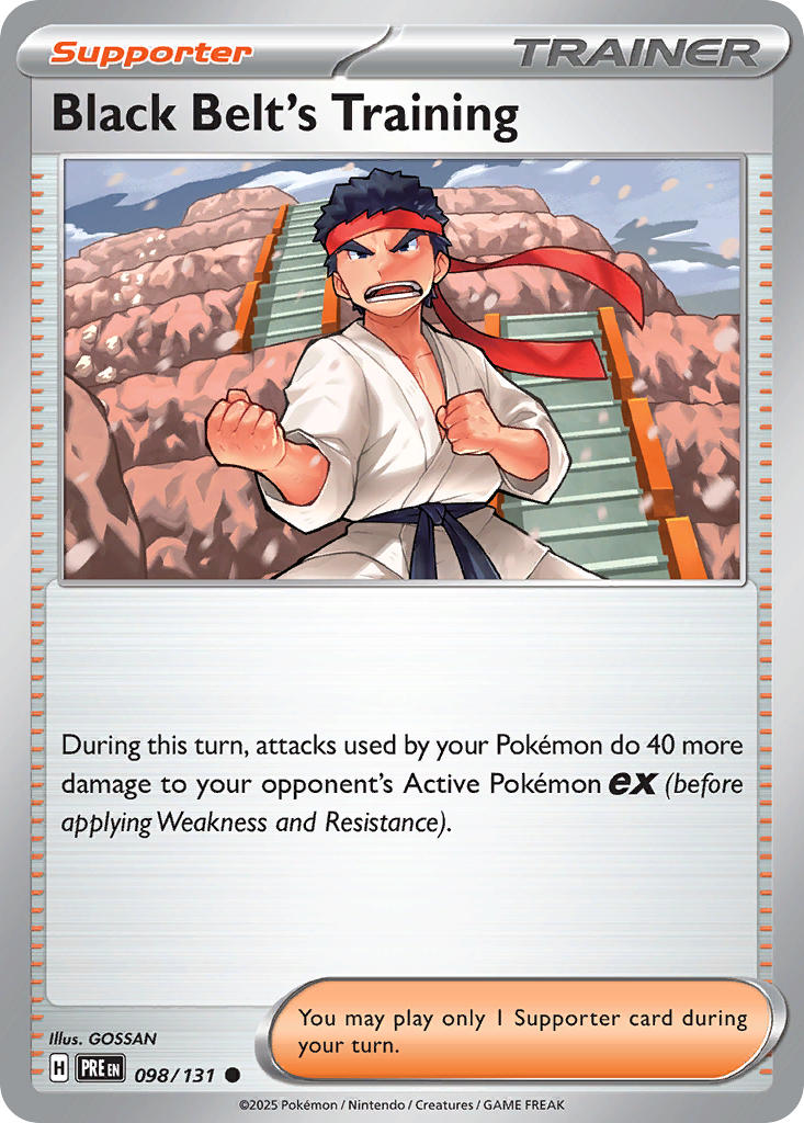 098/131  Black Belt's Training - 098/131 (Poke Ball Pattern)