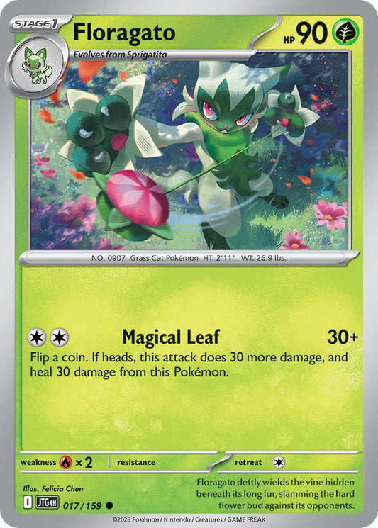 017/159  Floragato