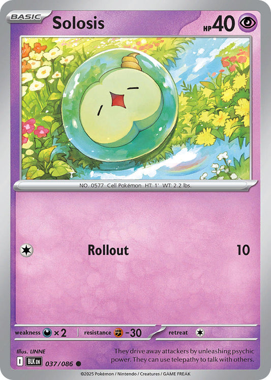 037/086  Solosis