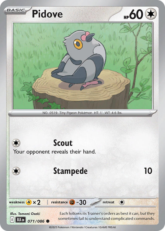 071/086  Pidove