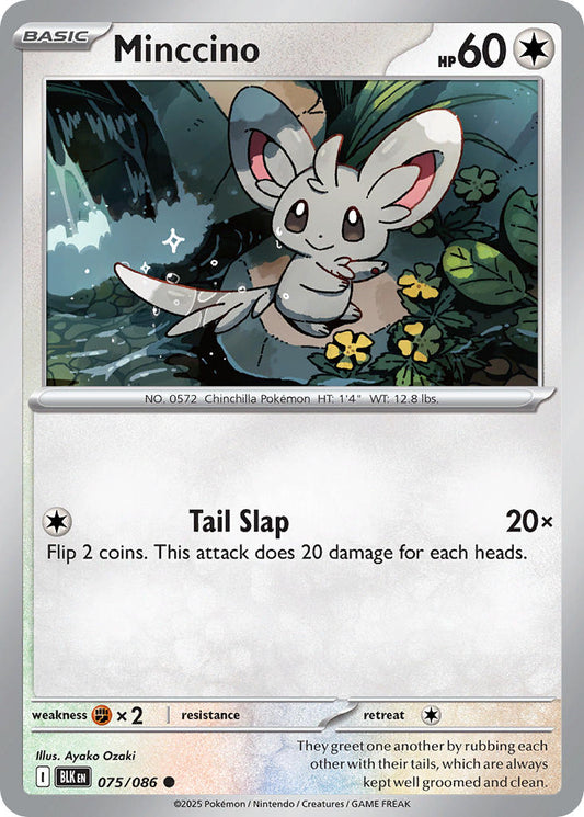 075/086  Minccino