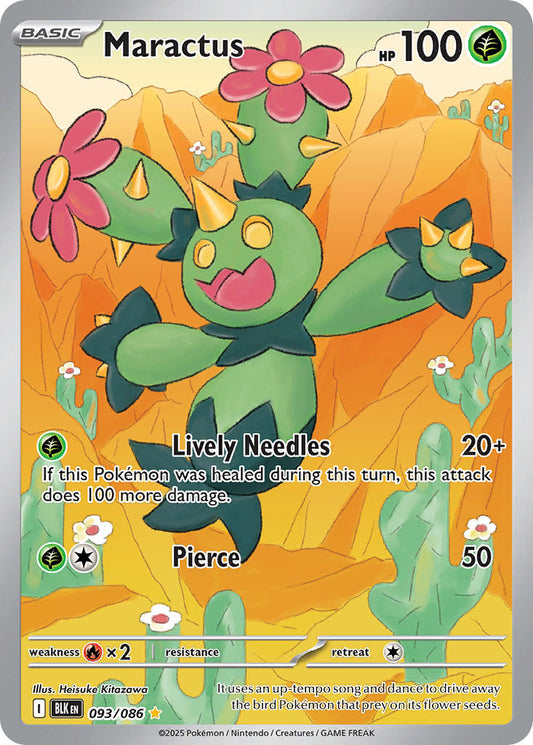 093/086  Maractus - 093/086