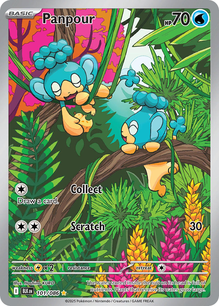 101/086  Panpour - 101/086
