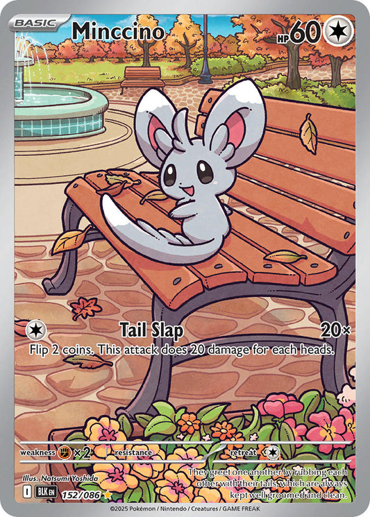 152/086  Minccino - 152/086